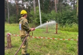 Лучшего лесного пожарного 2020 года выбрали в Новосибирской области