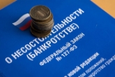 Поправки в законодательство упростили процедуру внесудебного банкротства