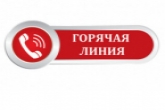 В регионе пройдет горячая линия по мерам соцподдержки ветеранам боевых действий