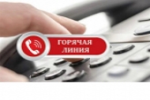 Горячая линия по нарушениям трудовых прав граждан в период нерабочей недели начала работать в Новосибирской области