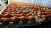 Более 350 тысяч тонн продукции АПК Новосибирской области отправлено на экспорт