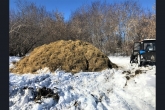 В 47 снежных буртов запаковали семена лесных растений в целях лесовосстановления в регионе