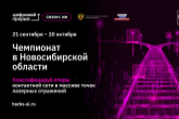 Региональный чемпионат по искусственному интеллекту стартовал в Новосибирской области
