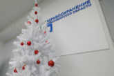 Минздрав региона представил график работы медучреждений в новогодние праздники