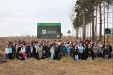 8 тысяч молодых сосен высадили в Искитимском районе по нацпроекту «Экология» на месте лесного пожара