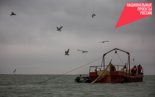 Рыба из новосибирских озёр впервые за 4 года отправилась в Китай