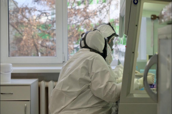 Минздрав Новосибирской области открывает новые лаборатории для тестирования на коронавирус