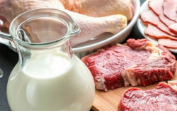 Больше молока и мяса в 2022 году: новые инвестпроекты в АПК увеличат производство продукции животноводства в регионе