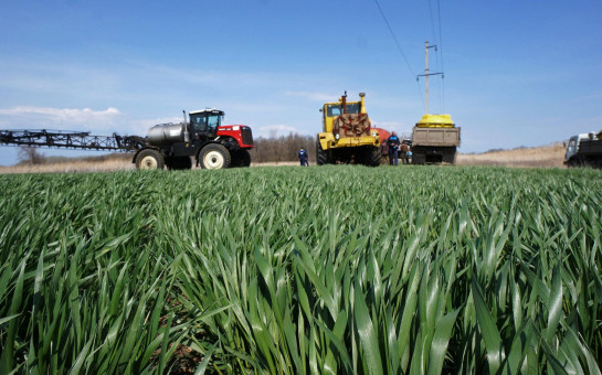 Правительство региона готовит заявку по созданию Агробиотехнопарка в Новосибирской области