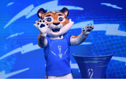 На Чемпионат мира по волейболу в Новосибирск приедет Тигроша