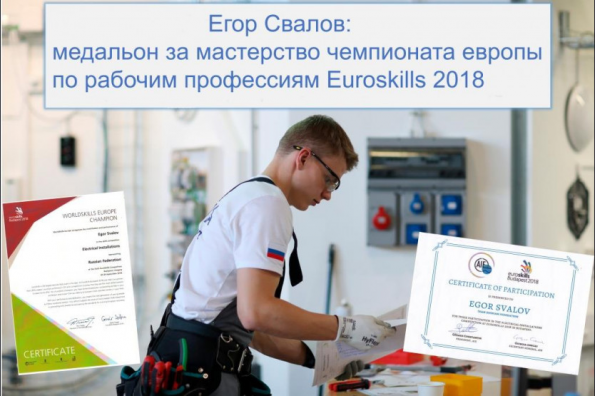 Выпускник новосибирского колледжа получил благодарность Президента РФ за участие в чемпионате EuroSkills-2018