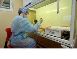 Службу скорой помощи, стационары и поликлиники Новосибирска усиливают студентами-медиками