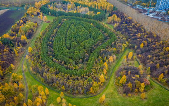 Лесопарк имени И.И. Синягина получил статус особо охраняемой природной территории местного значения