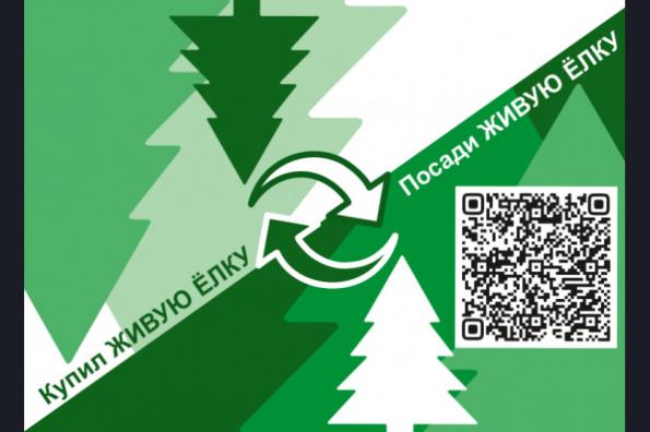 Семейный лес смогут вырастить жители Новосибирской области