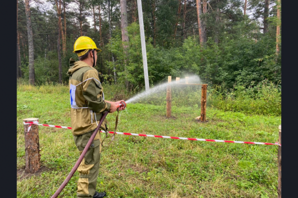 Лучшего лесного пожарного 2020 года выбрали в Новосибирской области