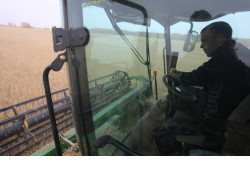 Кадровый резерв формируется на предприятиях АПК Новосибирской области в период противодействия коронавирусу