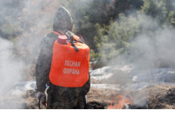 Минприроды региона напоминает жителям области о необходимости соблюдения правил пожарной безопасности в лесах