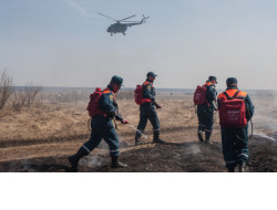 Противопожарное авиапатрулирование лесов усилено в Новосибирской области