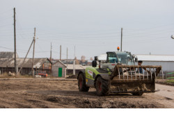 К заготовке кормов приступили уже более чем в 20 районах Новосибирской области