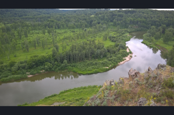 В Новосибирской области РусГидро обновляет экологическую тропу «Зверобой»