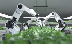 Карты урожайности, применение роботов и дронов в сельском хозяйстве рассмотрят на «Технопроме-2022»