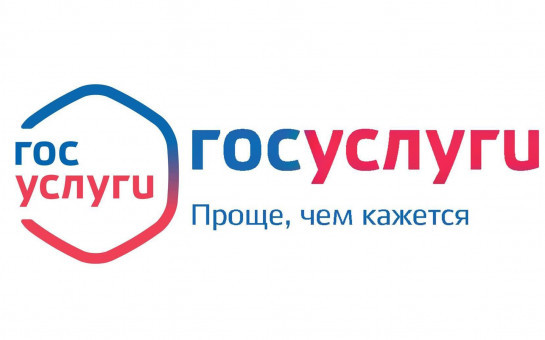 Закон вступил в силу: на Госуслугах можно оформить выплаты мобилизованным и членам их семей