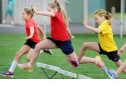 Единое физкультурно-спортивное пространство для детей от 3 до 17 лет будет создано в регионе по областной программе