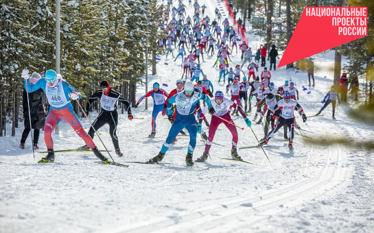 Тысячи новосибирцев выйдут 11 февраля на старт самой массовой лыжной гонки «Лыжня России»