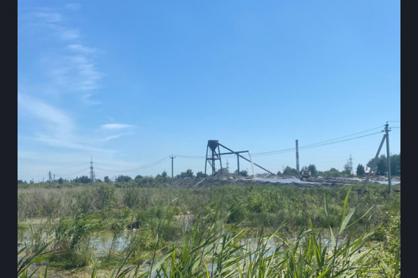 Чистый водоем с рыбой будет создан на месторождении Кучино благодаря рекультивации 