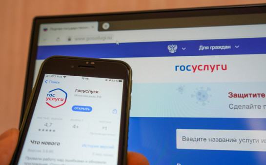 Число пользователей портала Госуслуг в Новосибирской области выросло более чем в 2 раза за пять лет