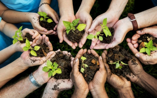 Агроволонтёры из Новосибирской области вошли в число победителей Всероссийского конкурса Добрый огород