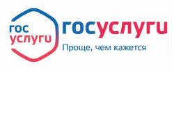 Новосибирская область заняла шестое место в рейтинге регионов по качеству предоставления электронных госуслуг