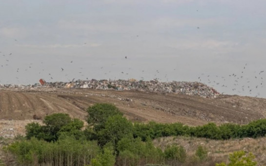 Хилокский полигон в Новосибирске закроют в течение ближайших двух лет