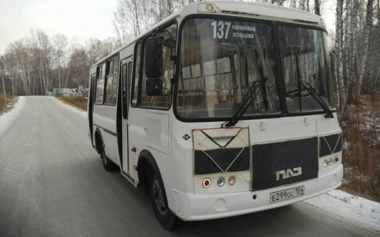 Семь населенных пунктов Новосибирского района соединит новый маршрут с льготным проездом