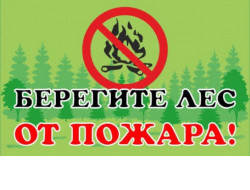 В районах Новосибирской области будет введен особый противопожарный режим