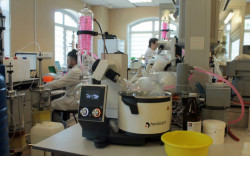 Новосибирское предприятие благодаря господдержке в два раза увеличило мощности производства компонента для диагностики коронавируса