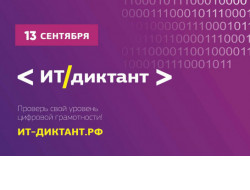 Новосибирцев приглашают проверить уровень цифровой грамотности