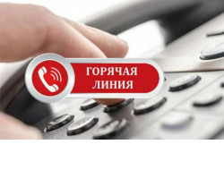 Горячая линия о мерах соцподдержки семей при рождении детей пройдет в Новосибирской области 