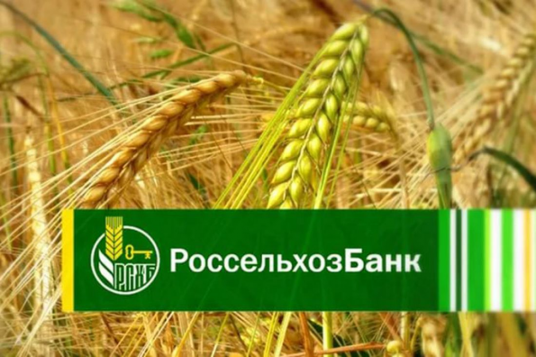 Новосибирский филиал Россельхозбанка продолжает финансирование уборочной кампании