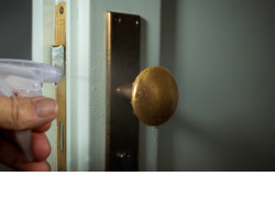 Школы Новосибирской области пройдут санитарную обработку перед ЕГЭ и голосованием по поправкам в Конституции России