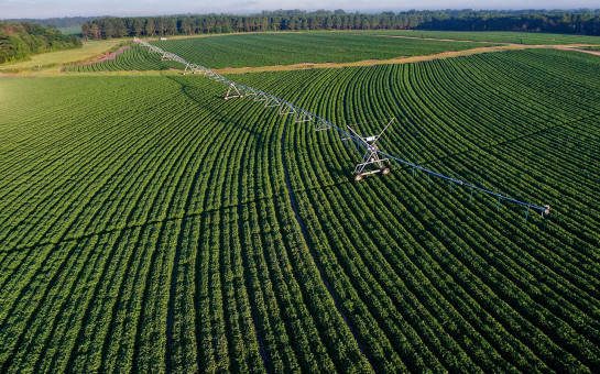 Дополнительные средства на мелиоративные мероприятия получит Новосибирская область из федерального бюджета