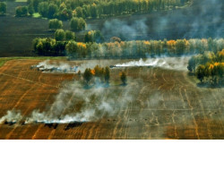 В Новосибирской области установлено начало пожароопасного сезона