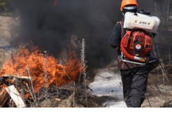 Ситуация с природными пожарами в Новосибирской области находится под контролем