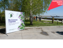 «Сад памяти» в Новосибирской области пополнится ещё 160 тысячами деревьев 