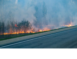 Более 260 тысяч рублей штрафов назначено жителям Новосибирской области за нарушение правил пожарной безопасности 