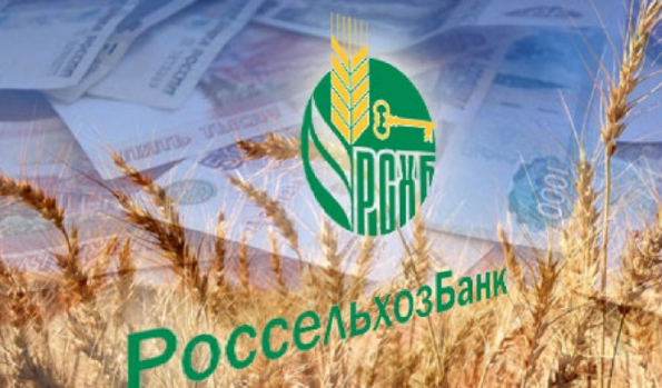 Россельхозбанк направит около 30 млрд рублей на реализацию инвестпроектов в Новосибирской области в рамках программы господдержки