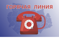 «Горячая линия» по вопросам организации школьного питания заработала в Новосибирской области