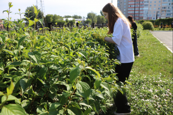Рабочими, уборщиками, вожатыми, менеджерами смогут временно потрудиться в текущем году более 6,8 тысяч юных жителей региона