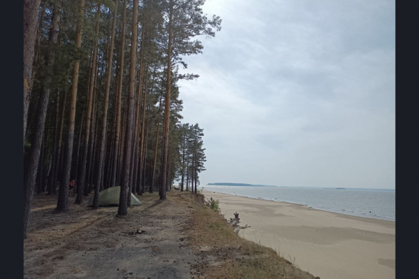 Караканский бор обрел статус особо охраняемой природной территории