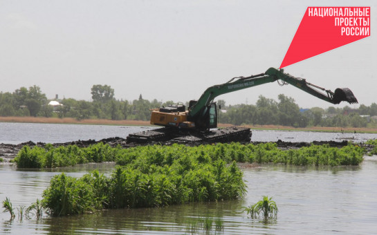 Расчистка озера Половинное по нацпроекту позволила ликвидировать угрозу его полной деградации